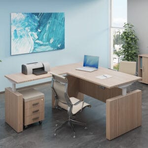 Fly Executive Height Adjustable Standing Desk