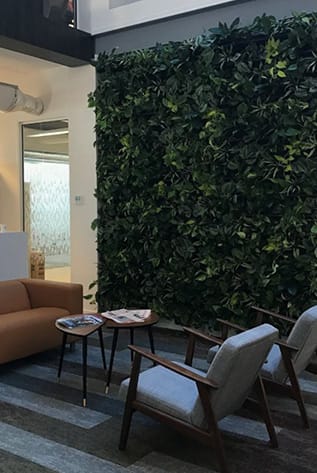 Lounge area with lush green walls, sofa, and chairs. Enhance your space with Green Walls.