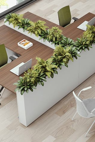 Office space featuring white Planters filled with lush greenery, enhancing workspace aesthetics.
