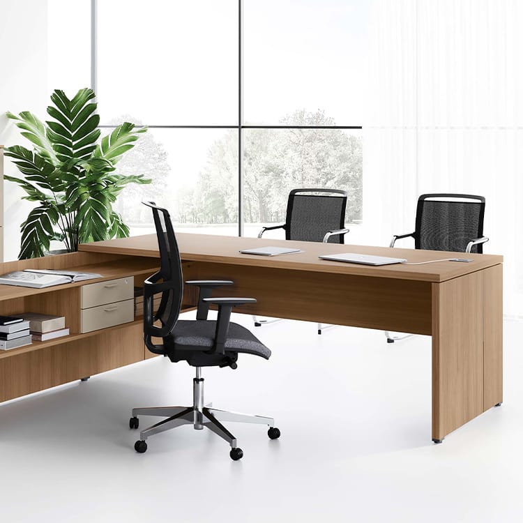 Modern Delta desk in light wood finish with a sturdy base and office chairs.