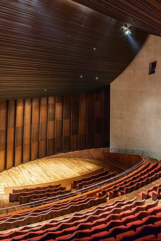 Elegant Theater seating with red plush chairs and warm wood accents.
