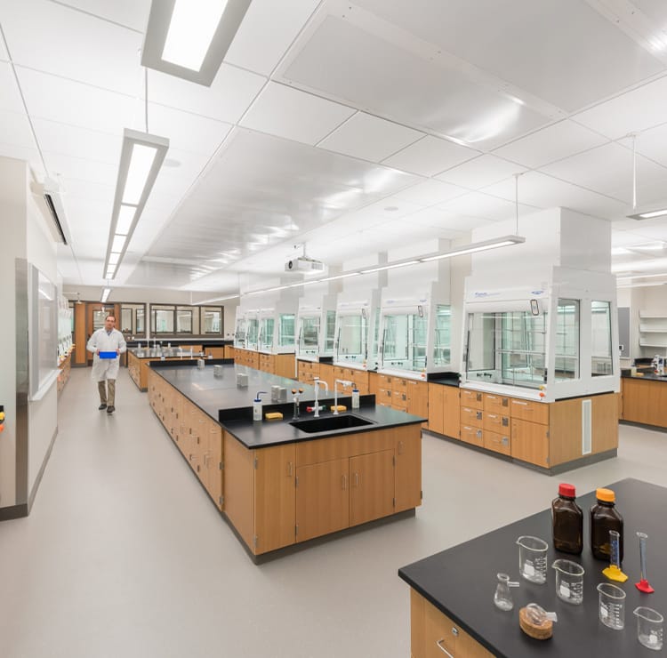 Bright laboratory featuring durable, functional furniture. Lab benches, sinks, and fume hoods ensure safety.