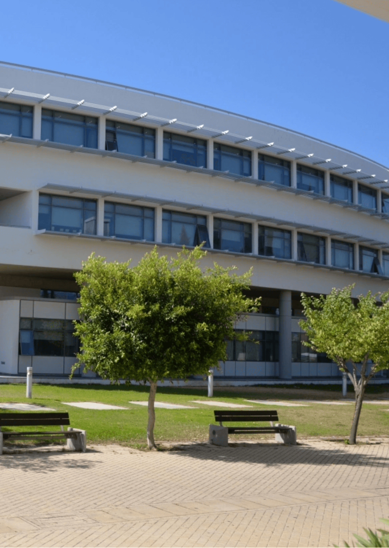 Άποψη της πανεπιστημιούπολης του Πανεπιστημίου Κύπρου στη Λευκωσία. Σύγχρονο κτίριο, παγκάκια και δέντρα κάτω από καταγάλανο ουρανό.