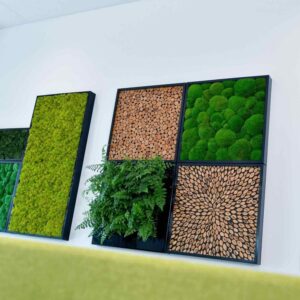 BioMontage Moss Frames &amp; Room Dividers