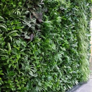 NextGen Living Wall System