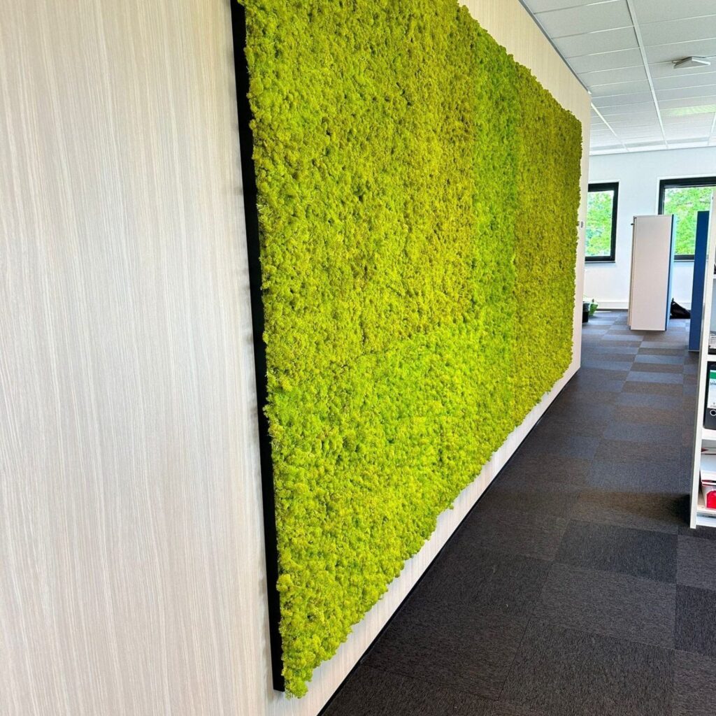 Preserved Moss Wall Panels